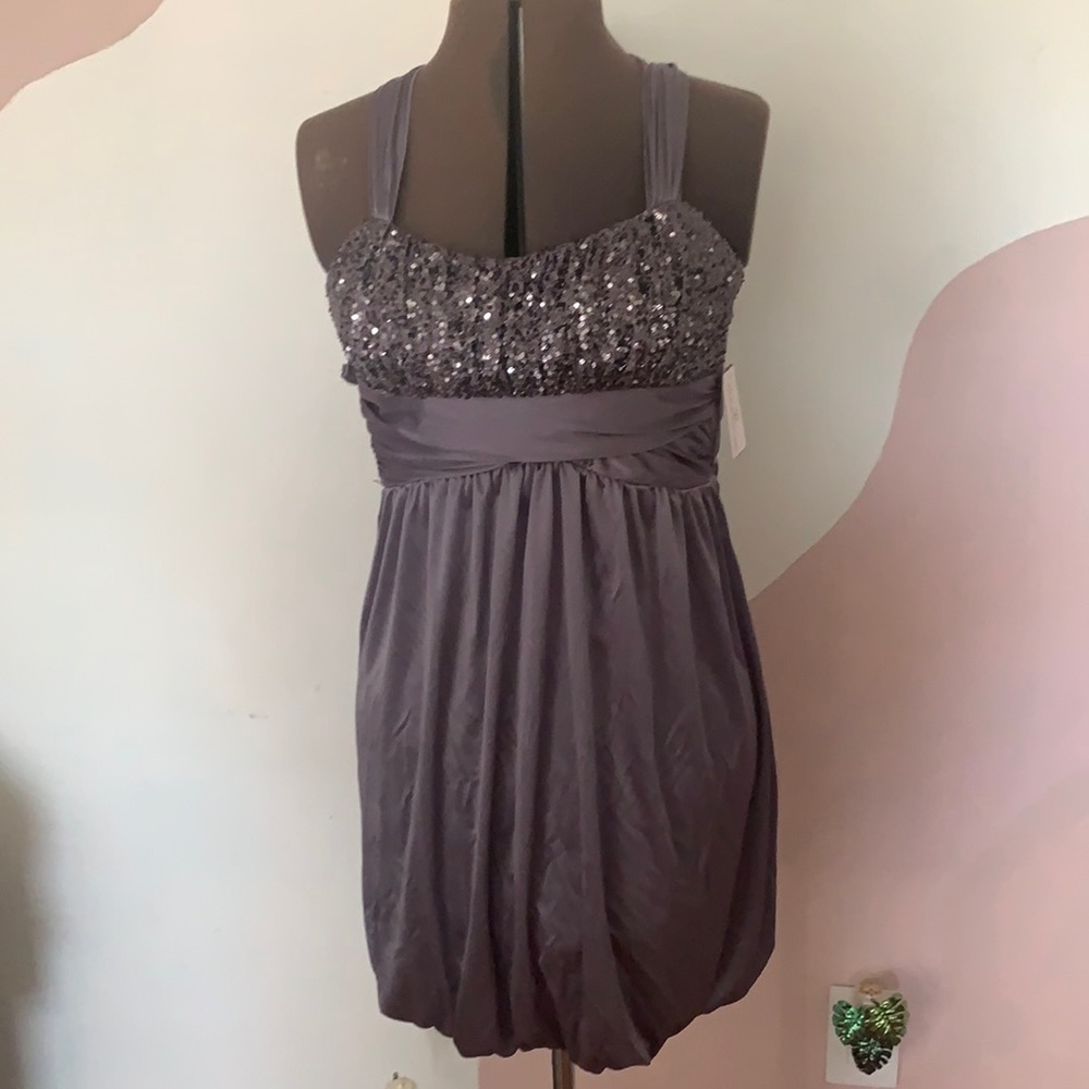 Windsor dress NWT Dusty Silver size 5